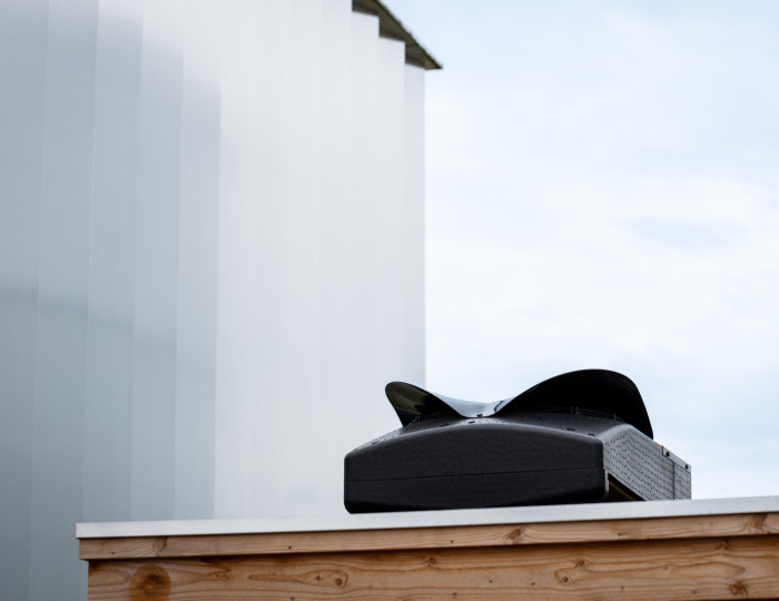 Weheat Blackbird op een tuinhuis