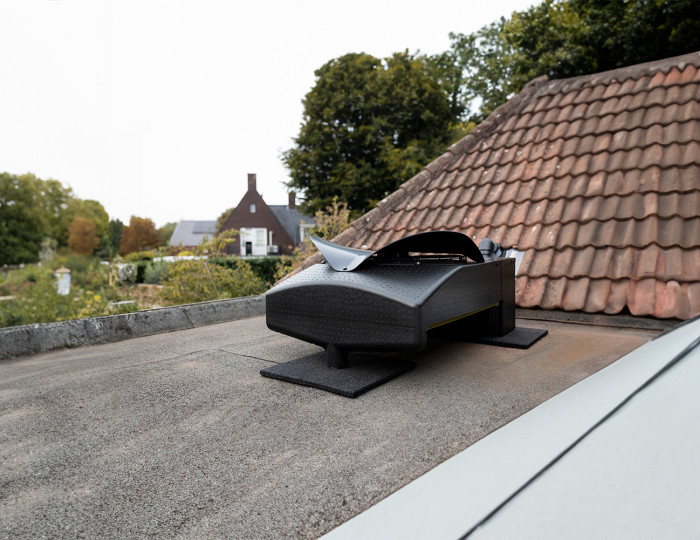 Blackbird op plat dak